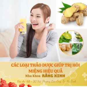 các loại thảo dược giúp chữa trị hôi miệng hiệu quả
